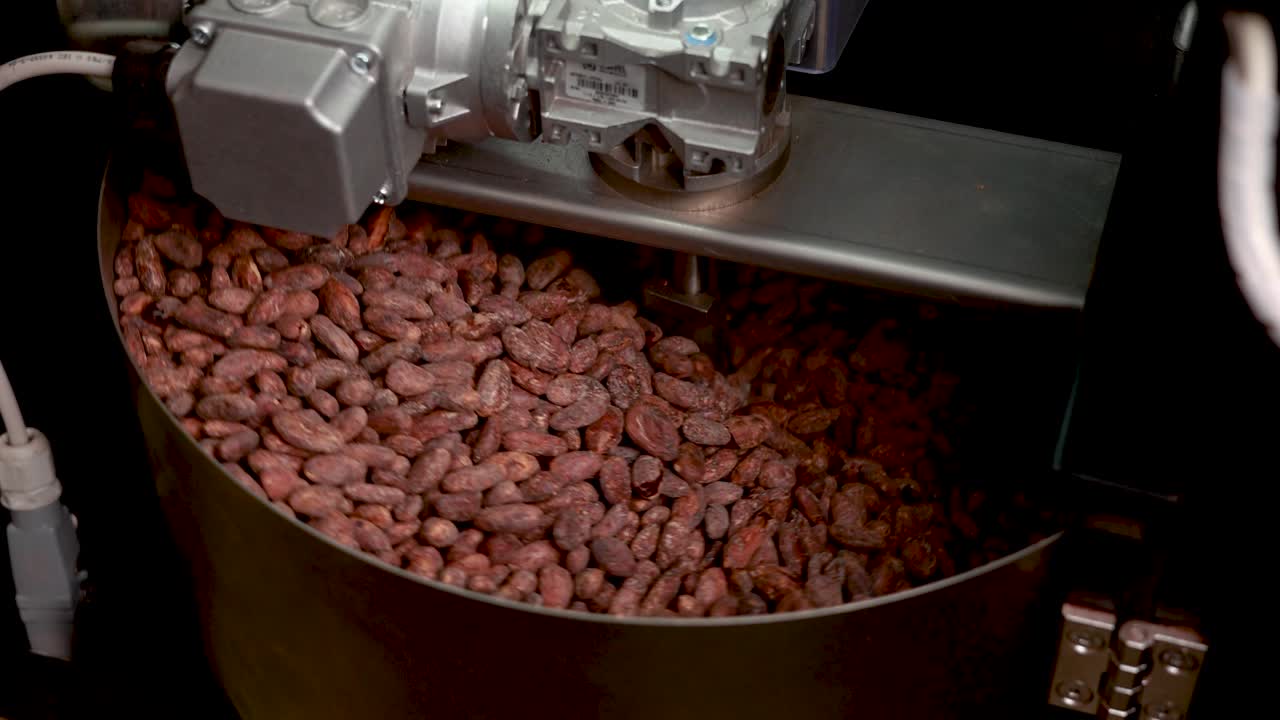 카카오 콩 가공