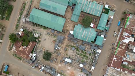 Green-roof-of-the-Loitokitok-city-of-village-settlement-in-Kenya