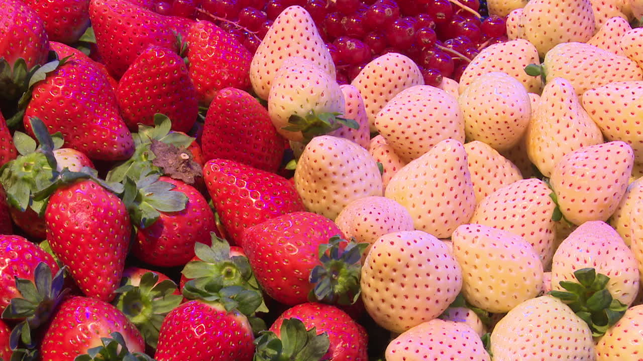 Red and White Strawberries