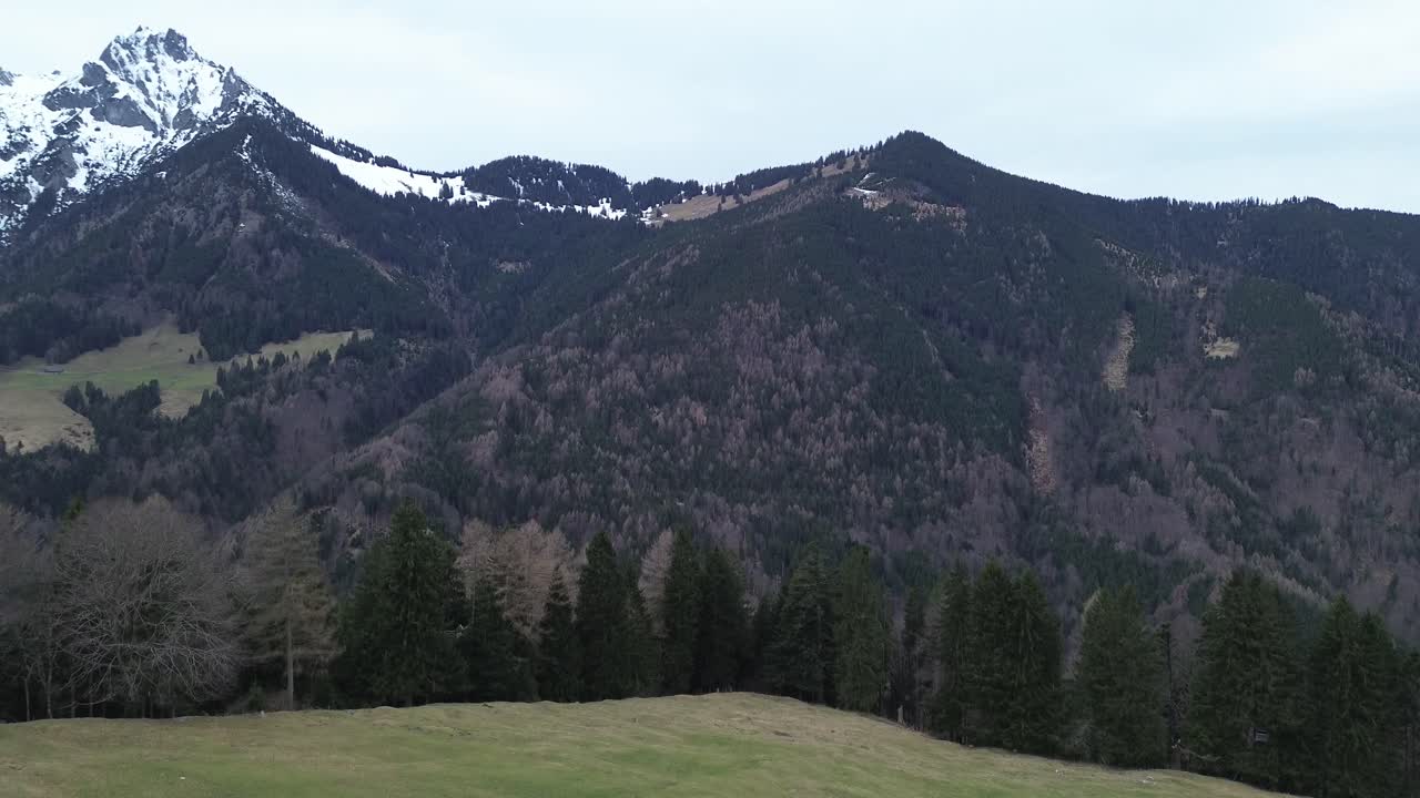 vista aérea de un avión no tripulado volando hacia la cumbre de la cruz en los alpes austriacos con bosque de pinos y montañas cubiertas de nieve en el fondo en un día nublado