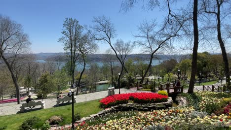 istanbul tulip festival.