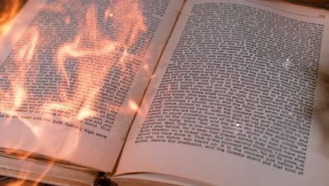 pages of a book engulfed in flames, evoking artistic nuances, portraying the concept of transformation and rebirth through destruction