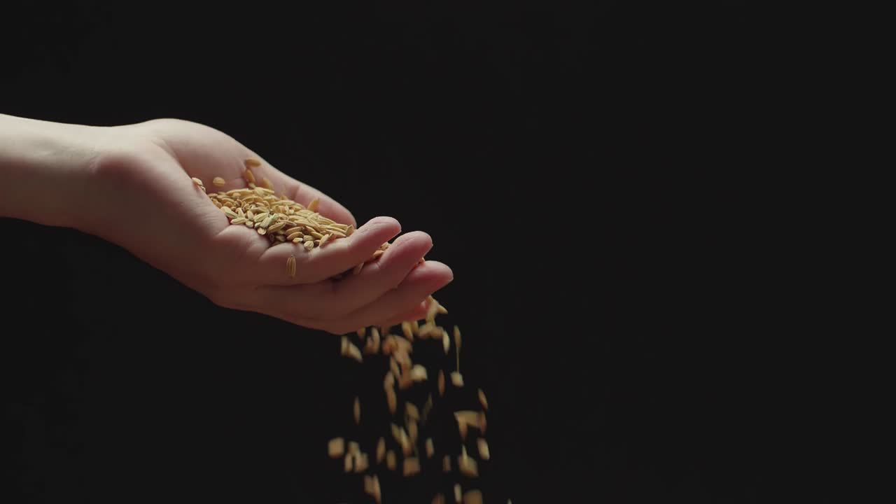 Hand Pouring White Long Grain Rice Slow Motion