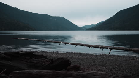views of lake crescent on a cloudy autumn day. gentle waves ripple under moody skies, framed by mountains and vibrant fall trees.