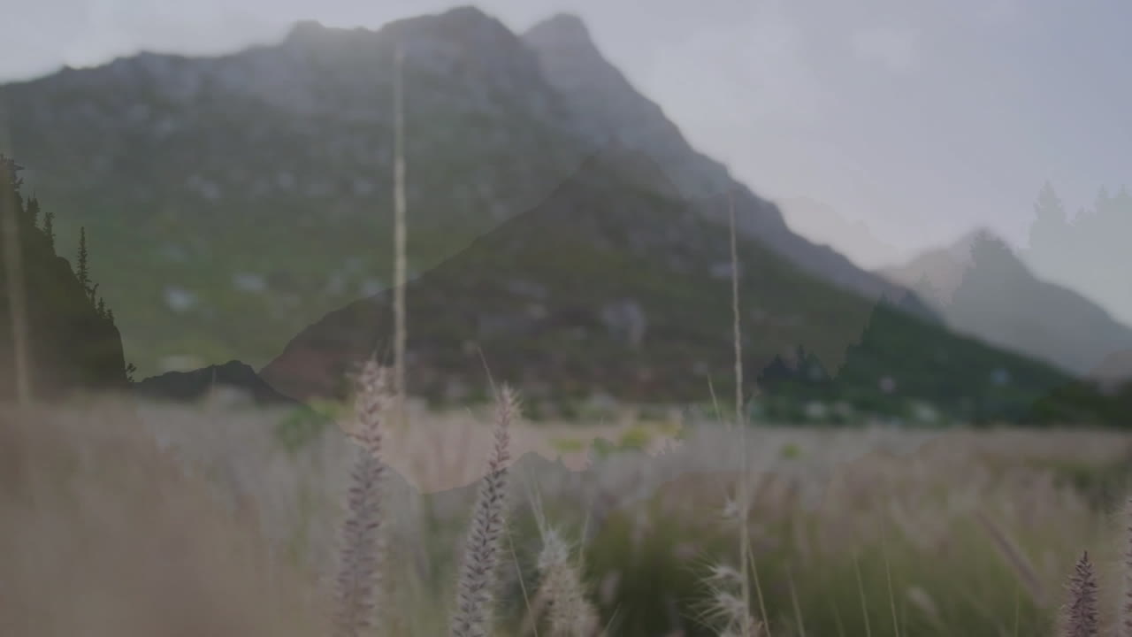 Tall grass swaying in foreground with mountain landscape in background, animation style