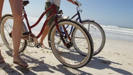 coupe walking with bicycle at beach 4k