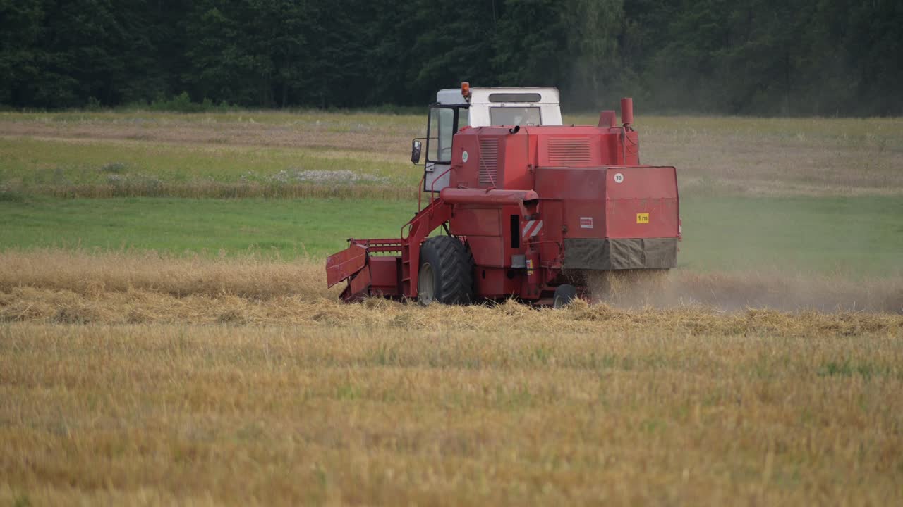 수확 시즌 동안 곡물 필드 유기농 농장에서 빨간색 트랙터 수확 기계