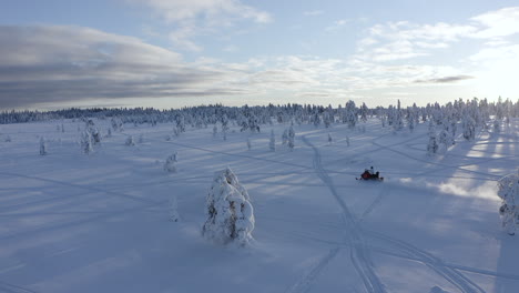 Drone-shot-of-swedish-nature