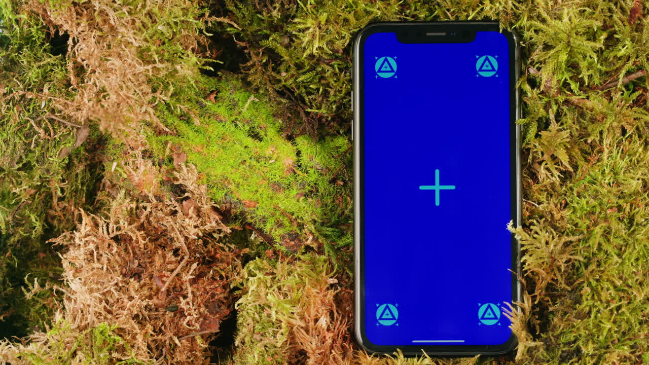 Mobile phone with green screen chroma key display on the background of moss forest.