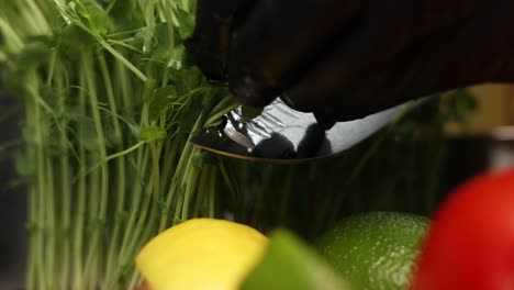 preparación de brotes de guisantes