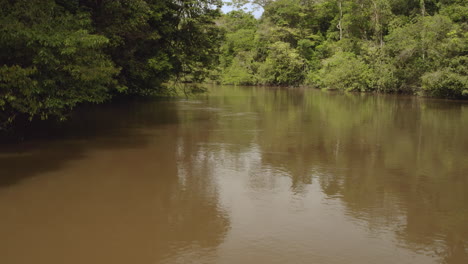 low-altitude drone video soaring across muddy amazon river winding into a dense green jungle. daylight illuminates the thriving tropical ecosystem, capturing untouched natural beauty and calmness.