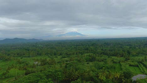 Exuberante-Bosque-Tropical-Verde-Aéreo-De-La-Isla-De-Java-Y-Monte-Suming-En-La-Distancia