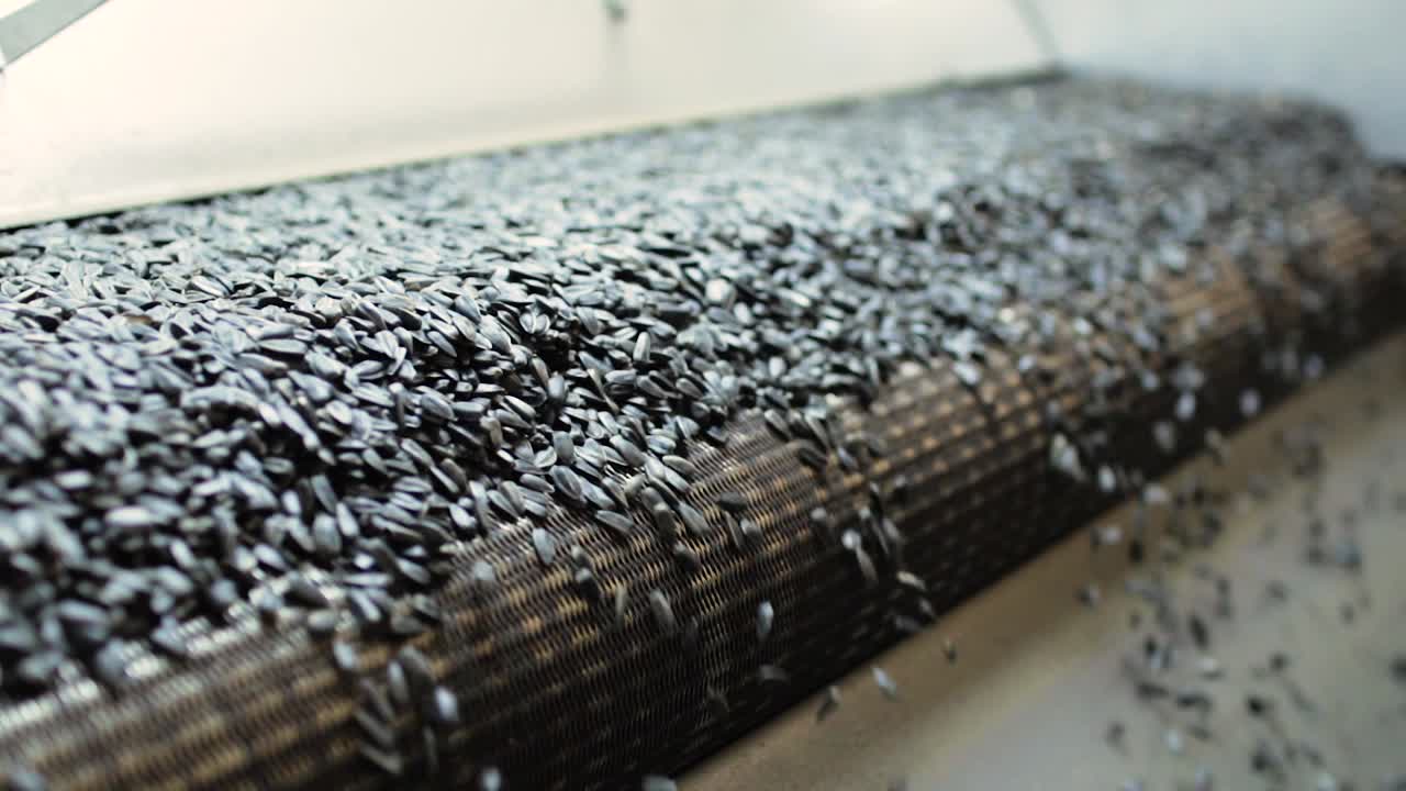 공장 컨베이어 에 있는 꽃 씨