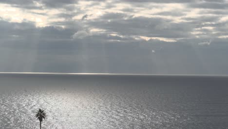 vista al océano atlántico con nubes arremolinadas y rayos de sol reventados, palmera única en primer plano