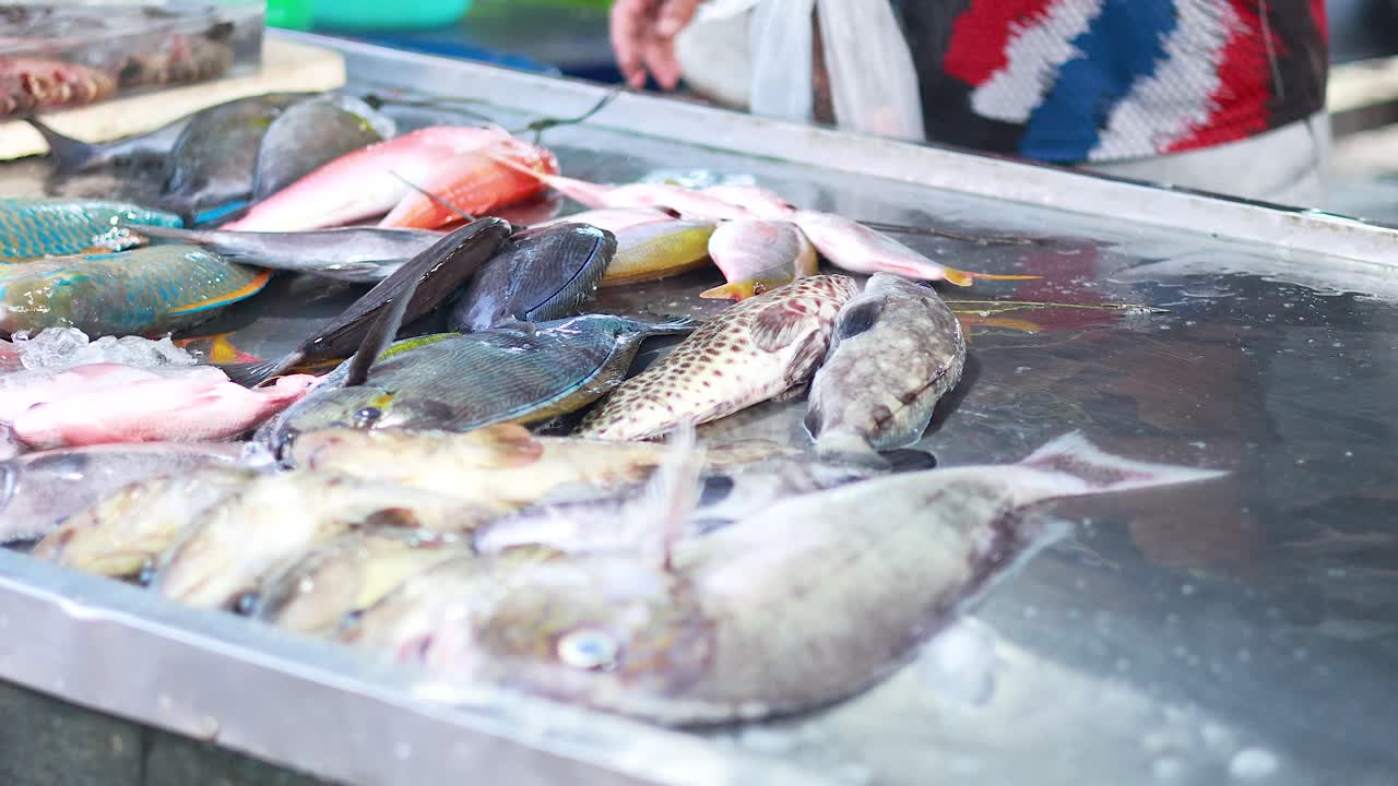 pescado fresco en un puesto de mercado