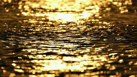 reflection of sunlight over sea surface in slow motion