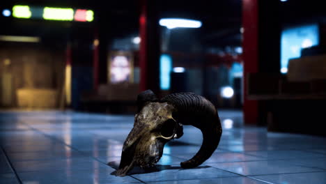 unusual skull artifact found in urban underground area at night