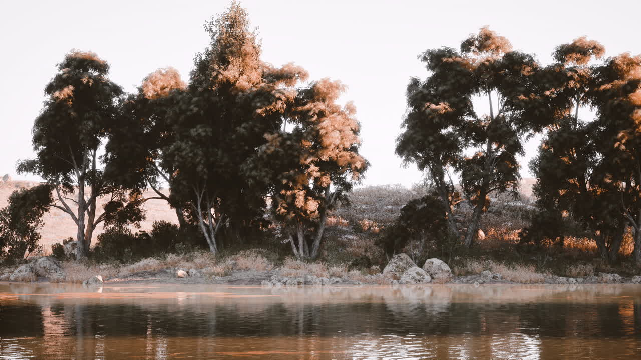 paisaje sereno a la orilla del río con árboles exuberantes y agua tranquila durante la hora dorada