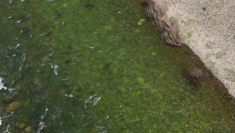 top down establishing aerial shot of the spokane river, perfect for a title card