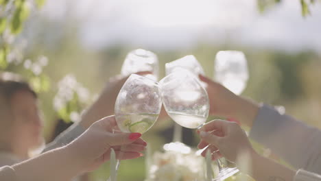 Bei-Einer-Gartenparty-Im-Blühenden-Garten-Jubeln-Die-Gäste-Und-Stoßen-Wein-Und-Cocktails-An