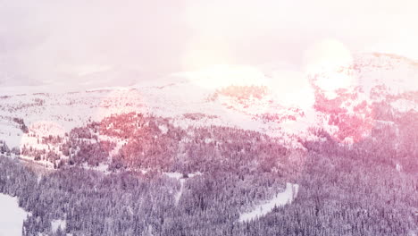 animation of winter scenery landscape with light spots mountains and fir trees covered in snow