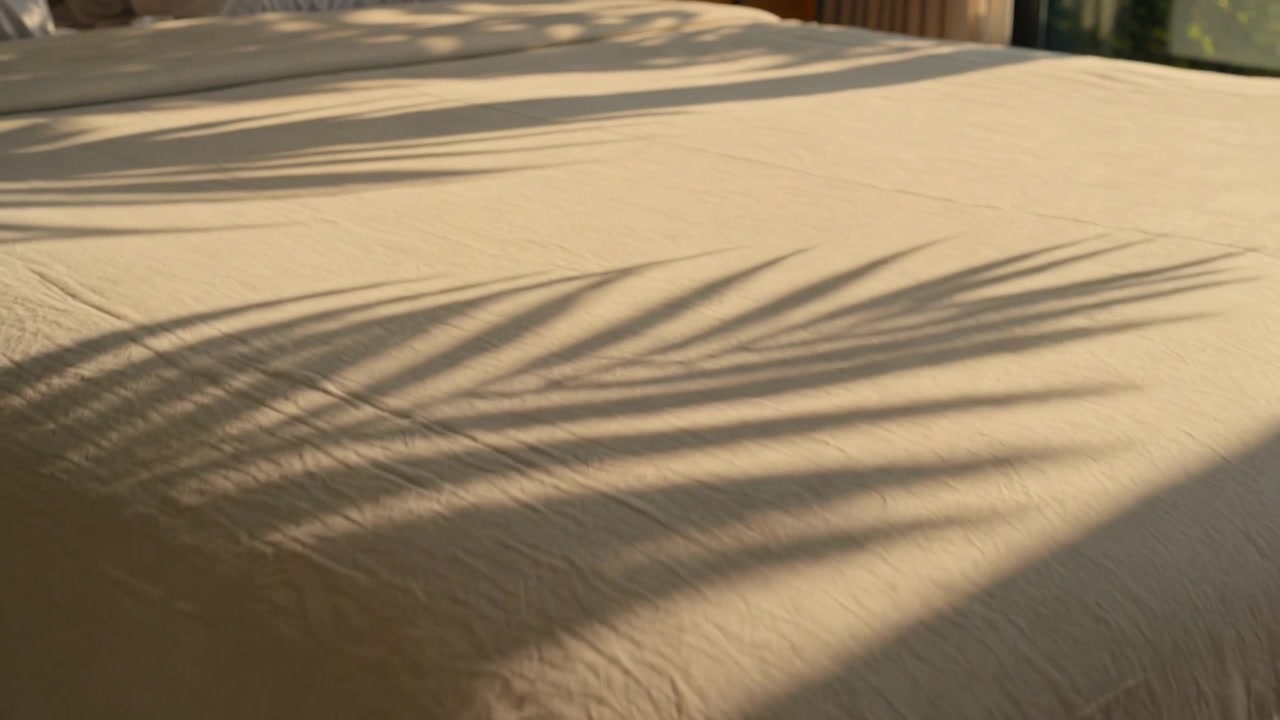 King-size bed in bedroom showing palm shadows moving across while sunlight entering window, pillows