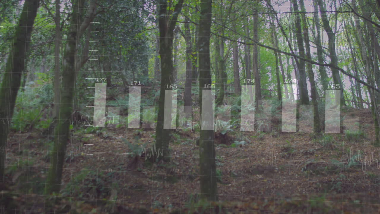 Semi-transparent data overlay being animated in woodland scene, with bar charts and line graphs
