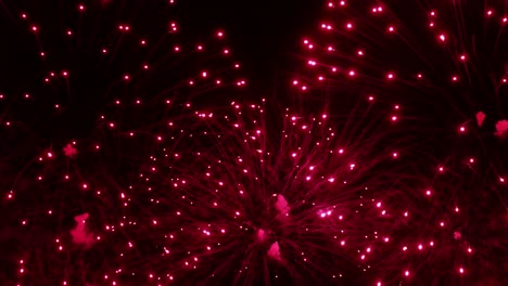 coloridos fuegos artificiales explotando en el cielo nocturno. celebraciones y eventos en colores brillantes.