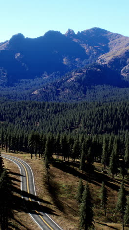 mountain road through a coniferous forest