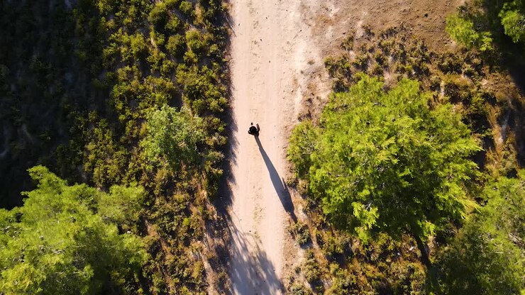 Ripresa dall'alto di un uomo che cammina su un sentiero nel bosco in 4K_2