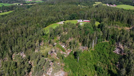 Aerial-Drone-View-Flight-over-pine-tree-forest-on-hill-in-daylight-time