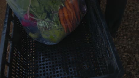 verduras recién cosechadas en una granja orgánica empaquetadas para la venta en el mercado