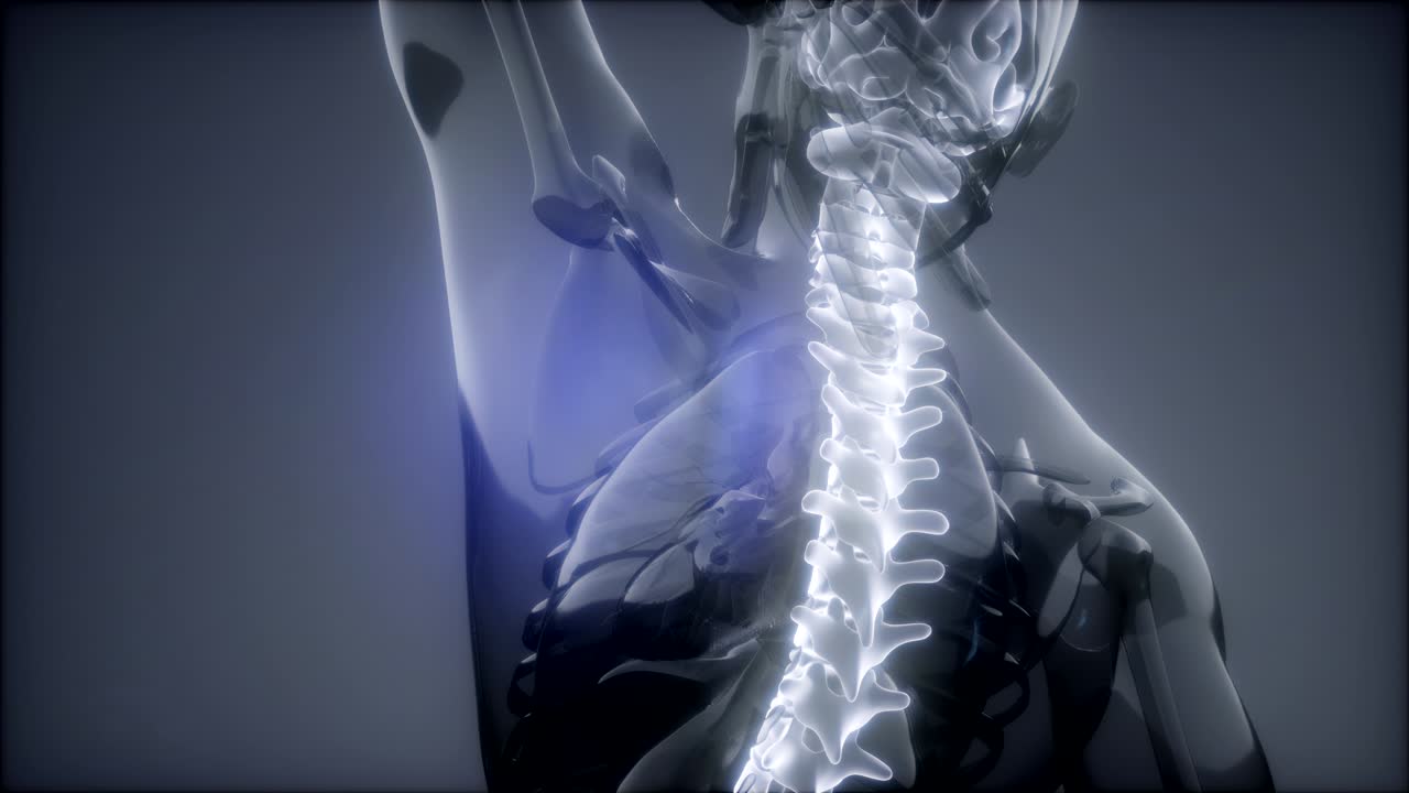dolor de espalda en los huesos de la espalda