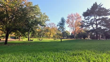 lush green park with trees and benches