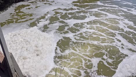 foaming white water bubbling up as it leaves sewer pipe