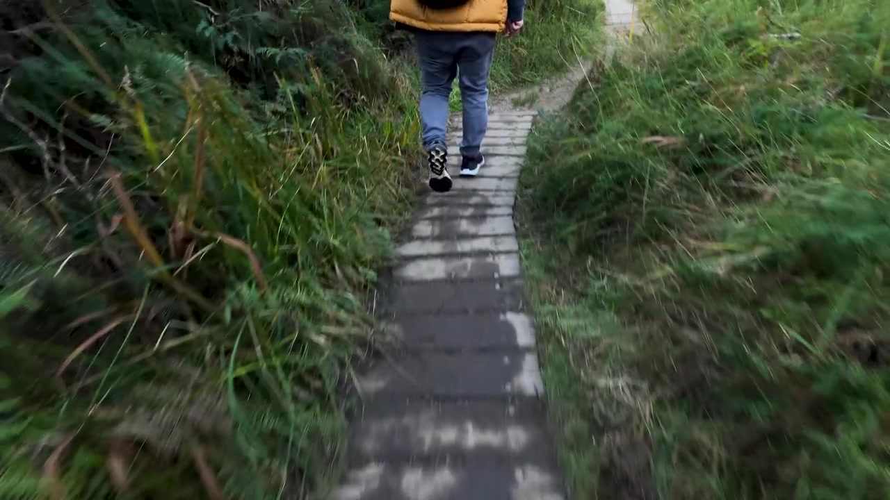 Low angle shot of a hiker walking on a muddy path in Wentworth Falls.