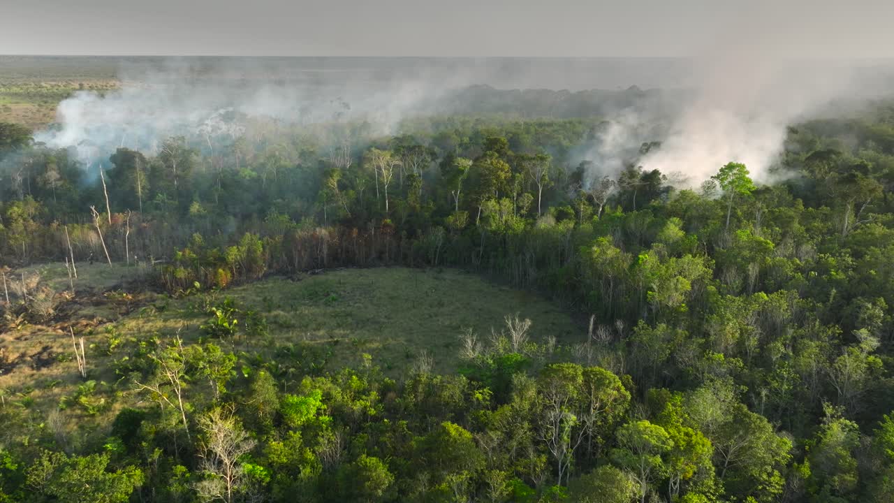Wide aerial shot capturing multiple plumes of white smoke rising from an active forest fire, highlighting the deforestation taking place in the Amazon Rainforest