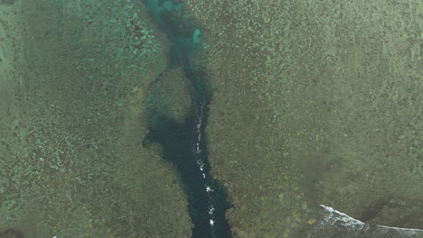 drone shot revealing a freshwater stream outlet disrupting a reef ecosystem
