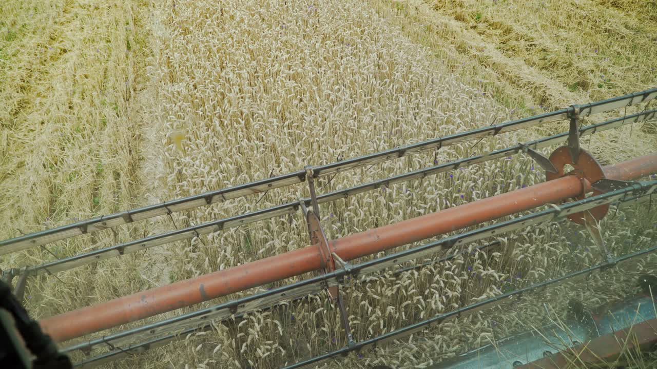 Harvest time. Combine harvester working in a wheat field