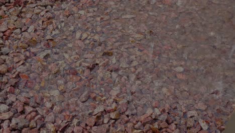 slow motion footage of rain falling on a bed of red rocks