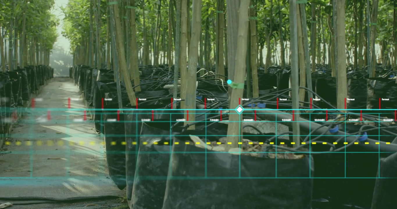 Grid overlay appearing and camera tracking sapling rows while teal diamond scanning for growth data