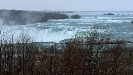 Observing-Niagara-falls-behind-tall-shrubs-in-winter