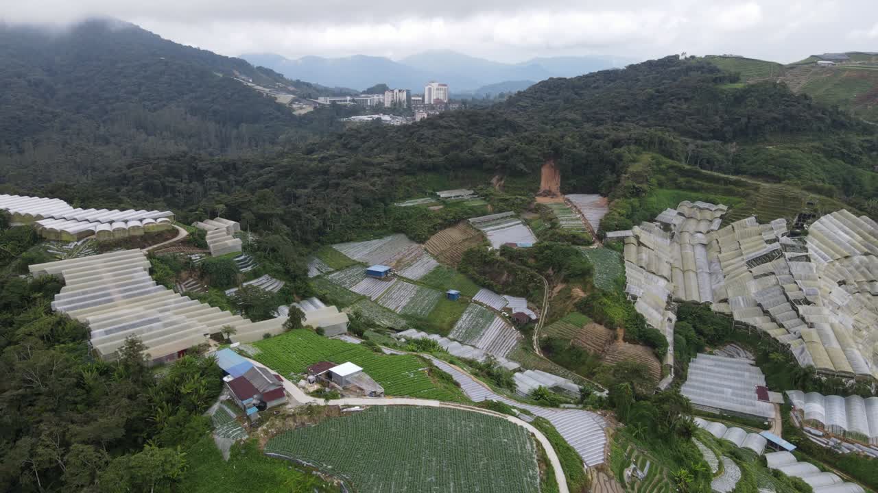 말레이시아의 카메론 하이랜드 지역 내의 브린창 지역의 일반 풍경