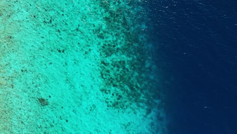 el arrecife de coral de arena cae a la profundidad del mar abierto, el dron desciende por encima del agua