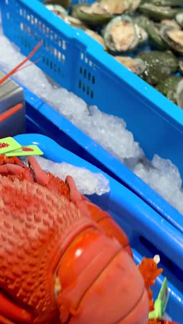 lobsters, crabs, and oysters on display