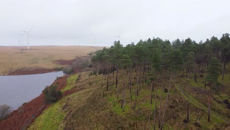 Langsame-Luftschwenkaufnahme-Einer-Waldbaumplantage-Mit-Windkraftanlagen-Auf-Hügel-Und-Stausee---Drohne-Uk-4k