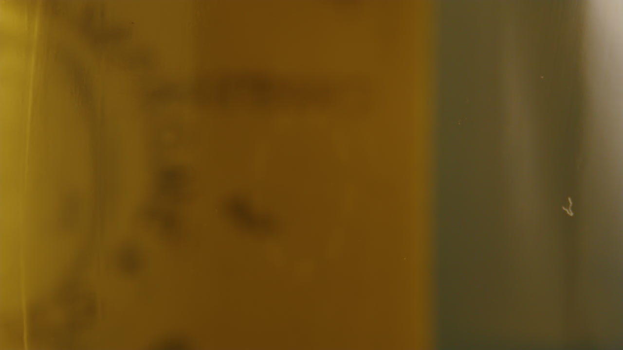 extremo primer plano de una botella de champán giratoria de louis roederer, hermosos aspectos destacados y texturas, lente de tubo macro de 24 mm de laowa