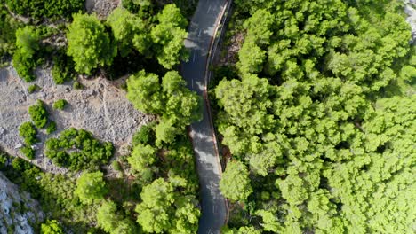 Curvy-road-through-green-forested-mountain-range,-remote-pass,-drone-aerial-view