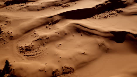 abstract aerial perspective of sinuous lines and forms in the pink desert dunes of utah.