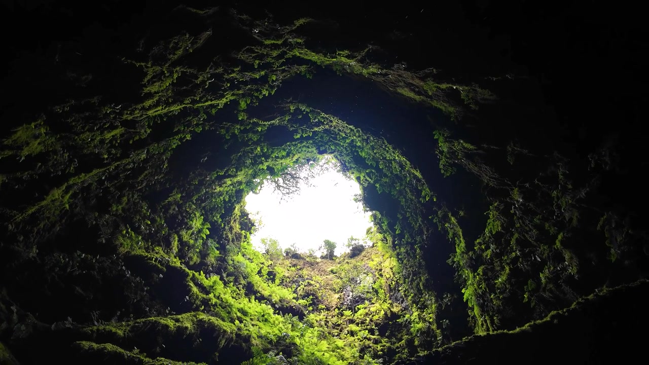 Vista cinematográfica rotativa dramática de paredes de caverna vulcânica cobertas de musgo com gotas de água caindo no Algar do Carvão, Açores, Portugal.
